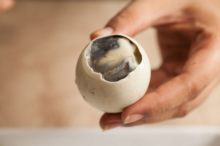 Balut, the ugly duckling embryo Le Manger english version