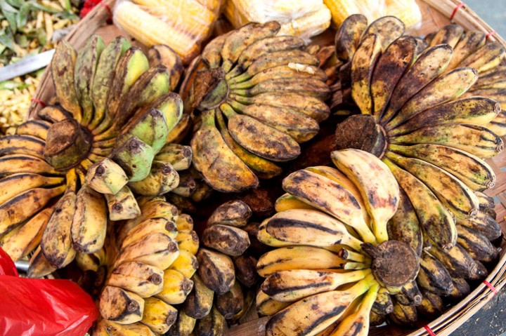Saba banana in the Philippines © Quentin Gaudillière