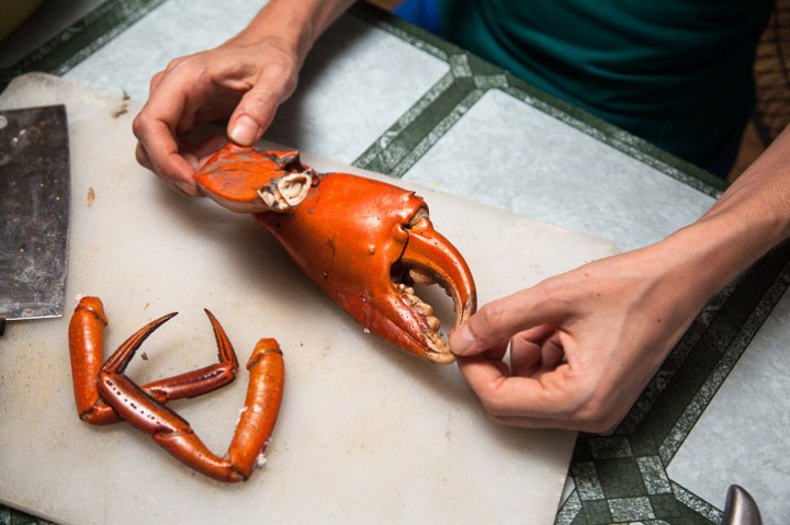 Claw from a big black crab in the Philippines © Quentin Gaudillière
