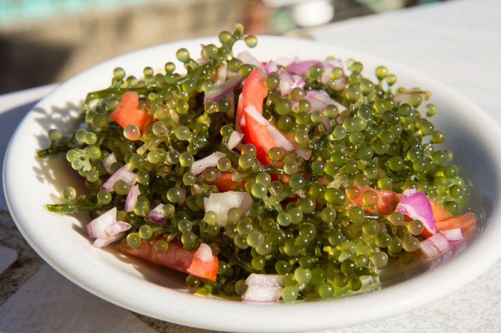 Lato seaweed salad © Camille Oger