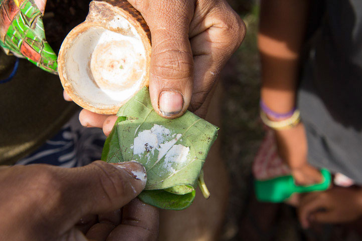 Betel leaf covered with slaked lime © Camille Oger Betel leaf covered with slaked lime © Camille Oger