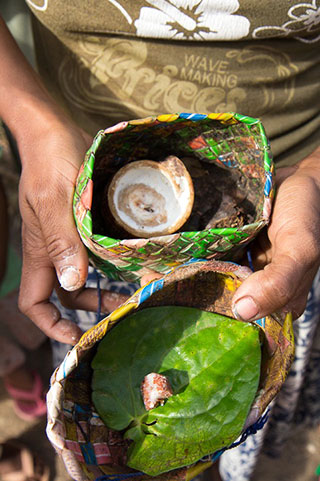 Betel quid: slaked lime, tabacco, betel leaf and areca nut © Camille Oger Betel quid: slaked lime, tabacco, betel leaf and areca nut © Camille Oger