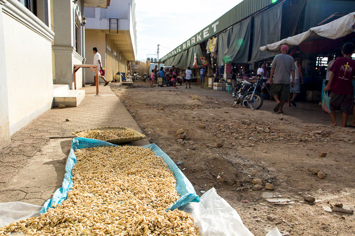 Cashew nuts drying in the sun, Coron market, Philippines © Camille Oger Cashew nuts drying in the sun, Coron market, Philippines © Camille Oger