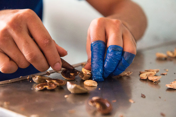 Extraction of the cashews © Camille Oger Extraction of the cashews © Camille Oger