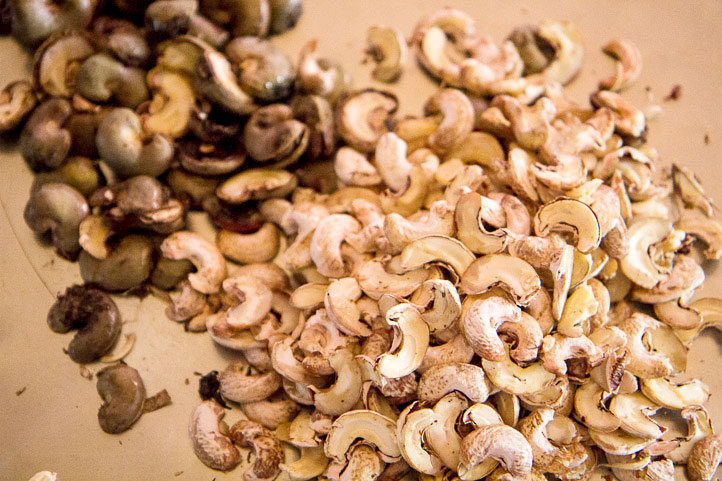 Cashews in their first and second shells © Camille Oger Cashews in their first and second shells © Camille Oger