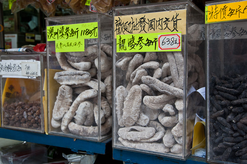 Concombres de mer à Hong Kong © Quentin Gaudillière