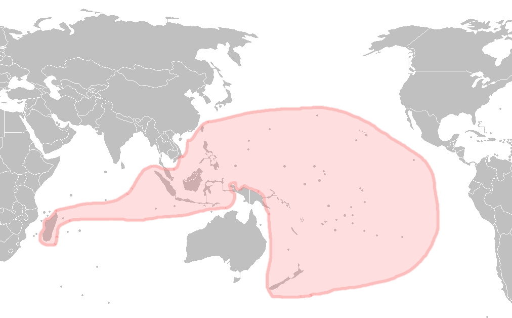 L'expansion austronesienne