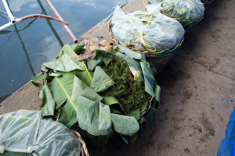 Paniers de 60 kg d'algues pour Manille © Camille Oger