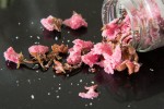 Sakura salées © Camille Oger