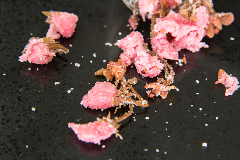 Fleurs de cerisier au sel © Camille Oger