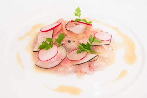 Carpaccio de daurade au gingembre et radis, sauce japanice © Camille Oger Carpaccio de daurade au gingembre et radis, sauce japanice © Camille Oger