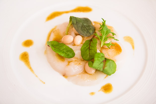 Carpaccio de Saint Jacques aux haricots de Paimpol sauce curry © Camille Oger Carpaccio de Saint Jacques aux haricots de Paimpol sauce curry © Camille Oger