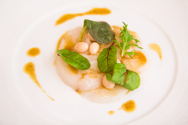 Carpaccio de Saint Jacques aux haricots de Paimpol sauce curry © Camille Oger