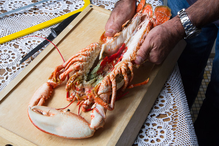 Homard prêt à déguster © Camille Oger