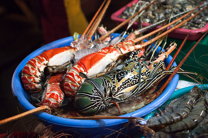 Homard breton une pince de taille ! - Picture of L'Homme de