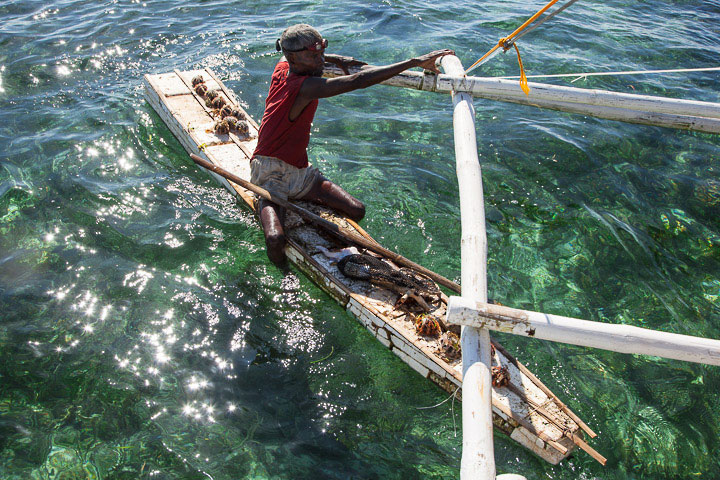 Pêcheur d'oursins, Coron, Philippines © Quentin Gaudillière