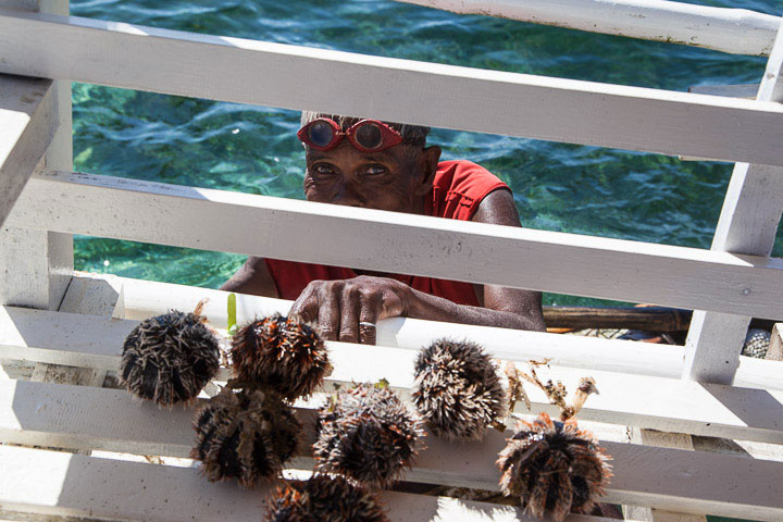 Pêcheur d'oursins mitres, Philippines © Quentin Gaudillière