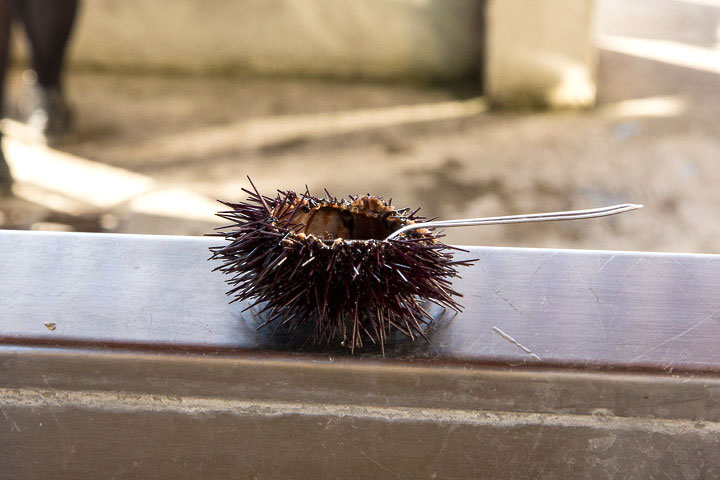 Oursin cru, au naturel, à la petite cuiller © Camille Oger