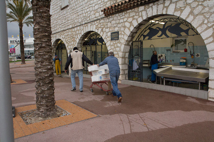 On dépose la prise du jour à la halle aux poissons du Cros © Camille Oger