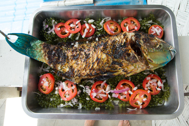 Poisson-perroquet au barbecue avec lato © Camille Oger