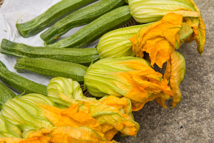 Fleurs et courgettes © Camille Oger