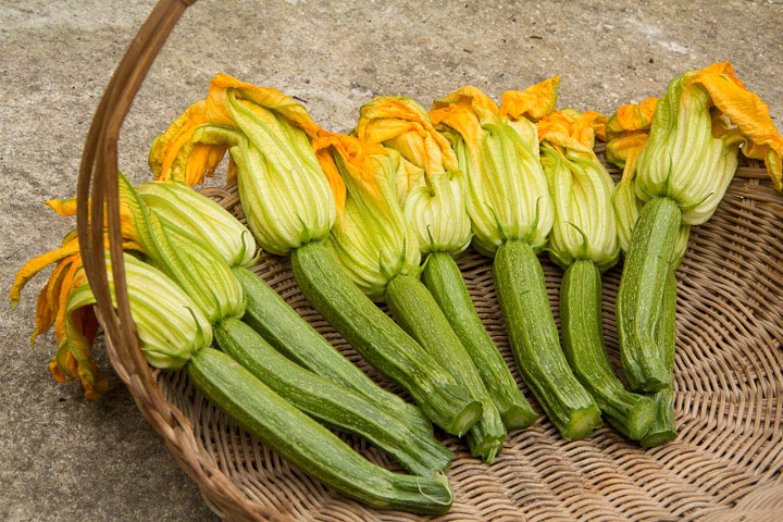 Petites courgettes du pays niçois et leurs fleurs © Camille Oger