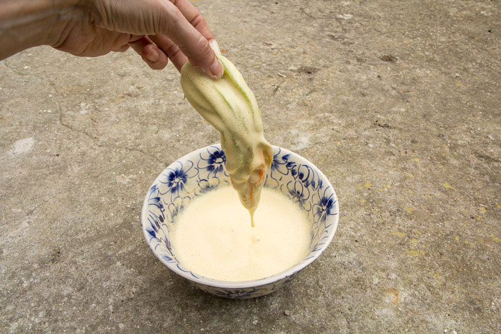 Trempette dans la pâte © Camille Oger Trempette dans la pâte © Camille Oger