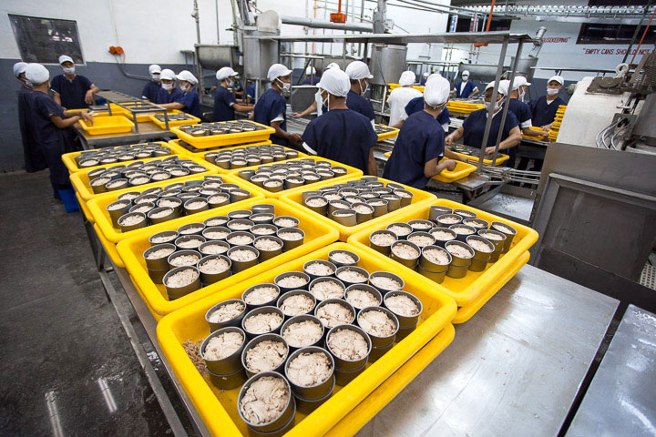 Préparation de conserves de bonite à l'usine Ocean Canning, General Santos © Quentin Gaudillière