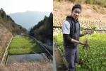 Champs de wasabi de Yuma Mochizuki / 望月佑真, Utogi, Shizuoka © Camille Oger