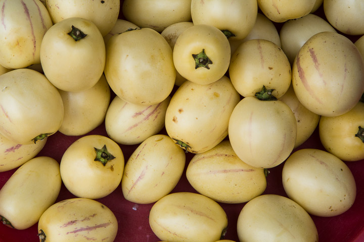 Pepinos ou poires-melons © Camille Oger