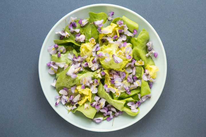 Salade de fleurs de glycine © Camille Oger