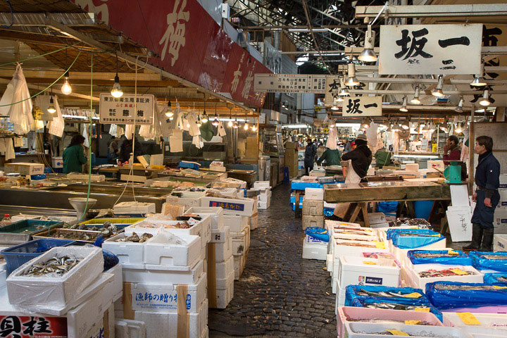 Une allée de fruits de mer à Tsukiji © Camille Oger