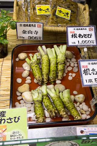 Racines de wasabi à Shizuoka © Camille Oger