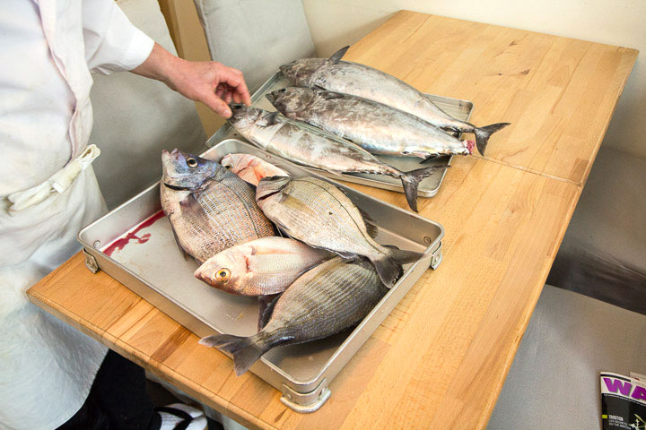 Livraison de poisson ultra-frais chez Yuzu © Camille Oger