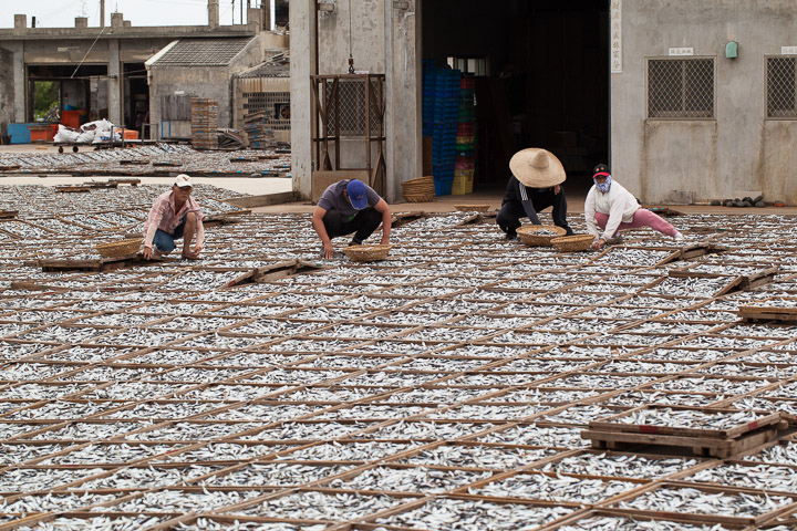 Producteurs de poisson séché, Taïwan © Quentin Gaudillière