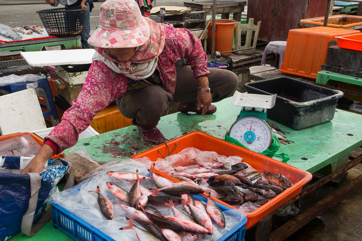 Marché aux poissons de Penghu, Taïwan © Camille Oger