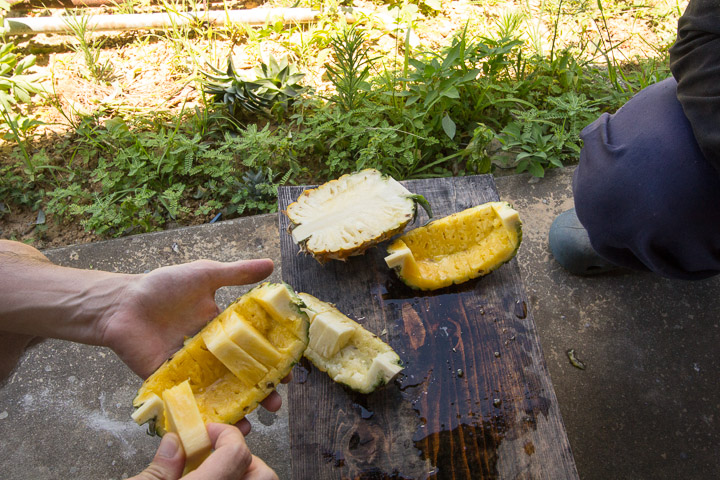 Dégustation d'ananas improvisée dans une plantation © Camille Oger