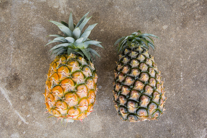 Ananas jaune à gauche, blanc à droite © Camille Oger