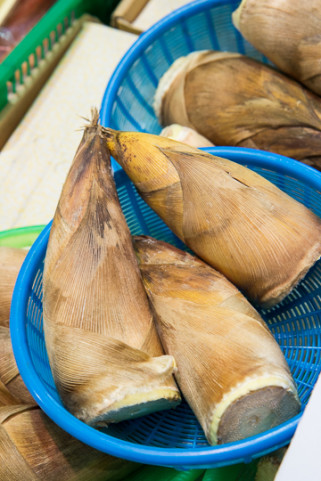 Pousses de moso au marché, Japon © Camille Oger